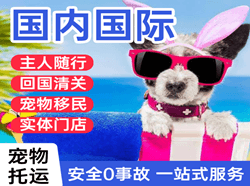 常州奔牛空运公司国际宠物托运 【国
